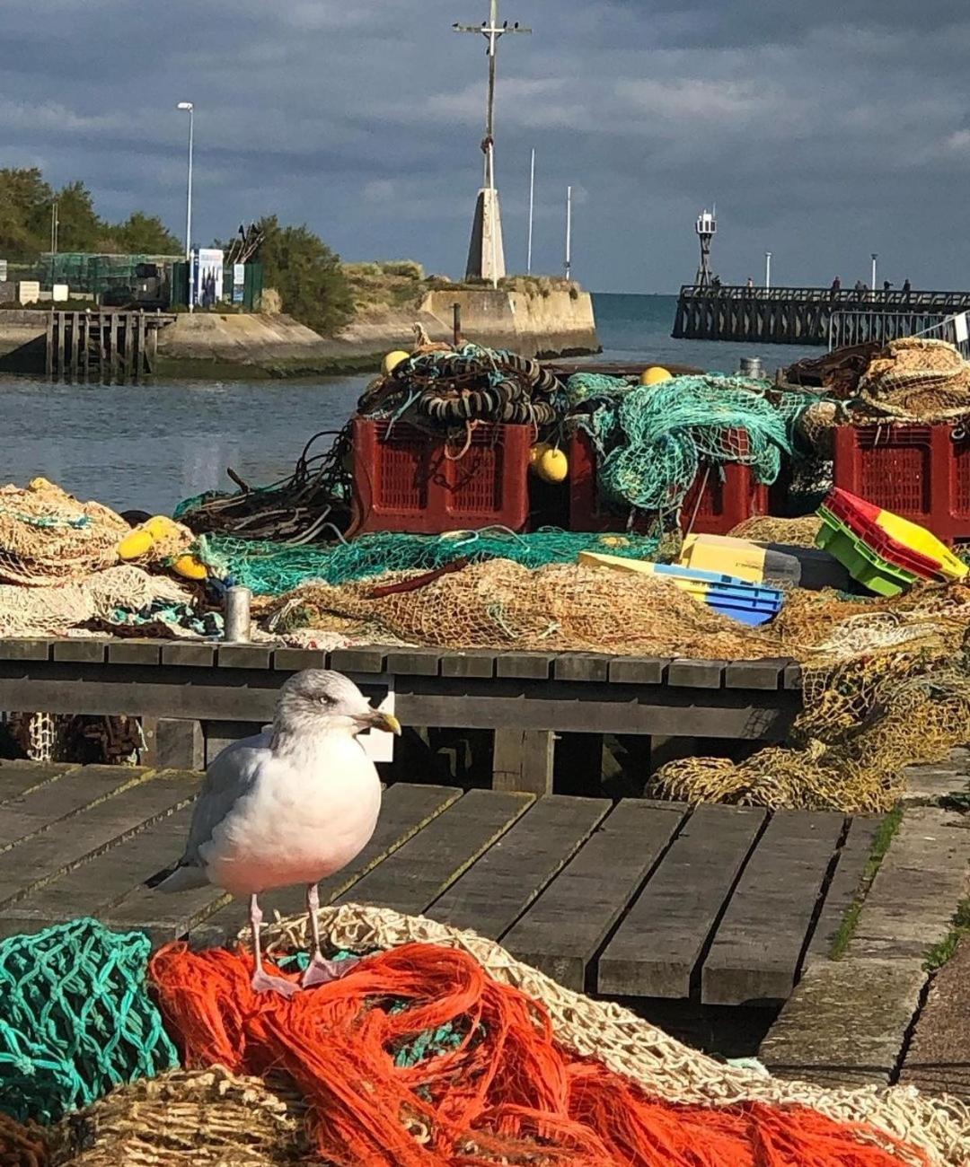Entre Seulles & Mer Proche Port De Plaisance Courseulles-sur-Mer Εξωτερικό φωτογραφία